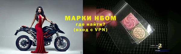 PSILOCYBIN Баксан