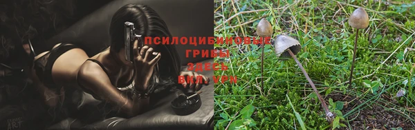 стафф Семёнов